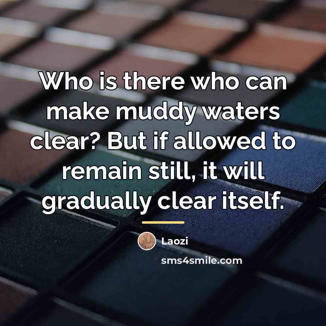 “Who is there who can make muddy waters clear? But…” quote by Laozi