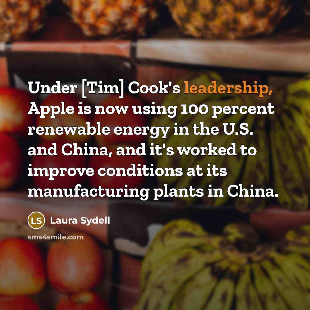 “Under [Tim] Cook's leadership, Apple is now using 100 percent…” quote by Laura Sydell