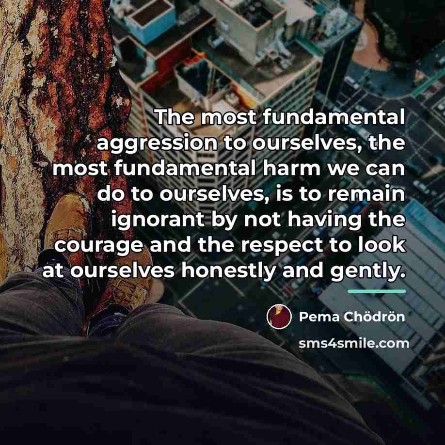 “The most fundamental aggression to ourselves, the most fundamental harm…” quote by Pema Chodron