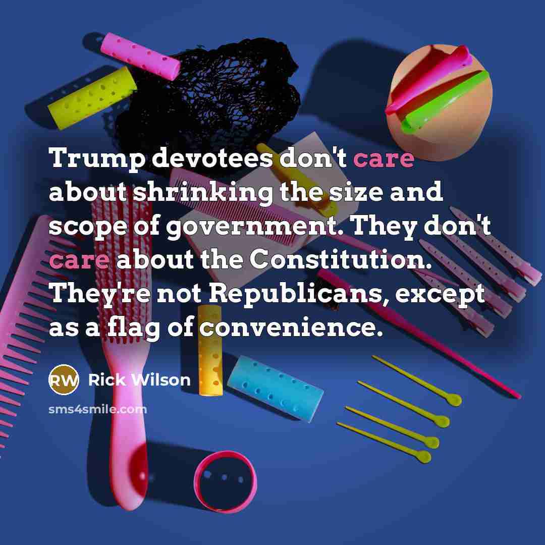 “Trump devotees don't care about shrinking the size and scope…” quote by Rick Wilson