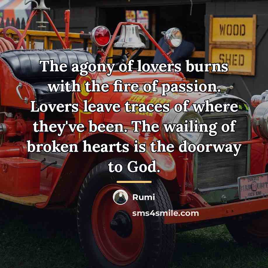“The agony of lovers burns with the fire of passion.…” quote by Rumi