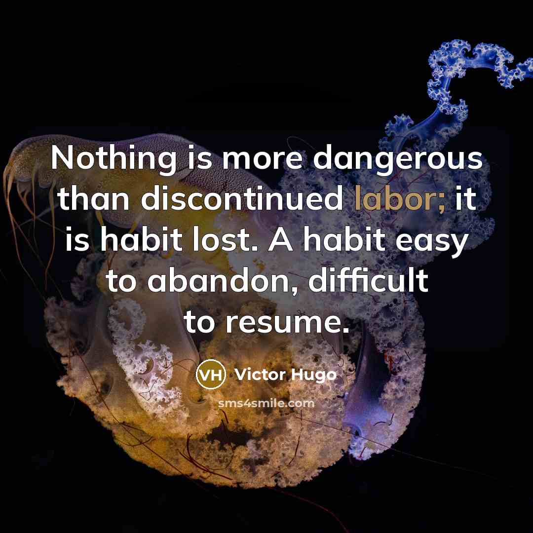 “Nothing is more dangerous than discontinued labor; it is habit…” quote by Victor Hugo