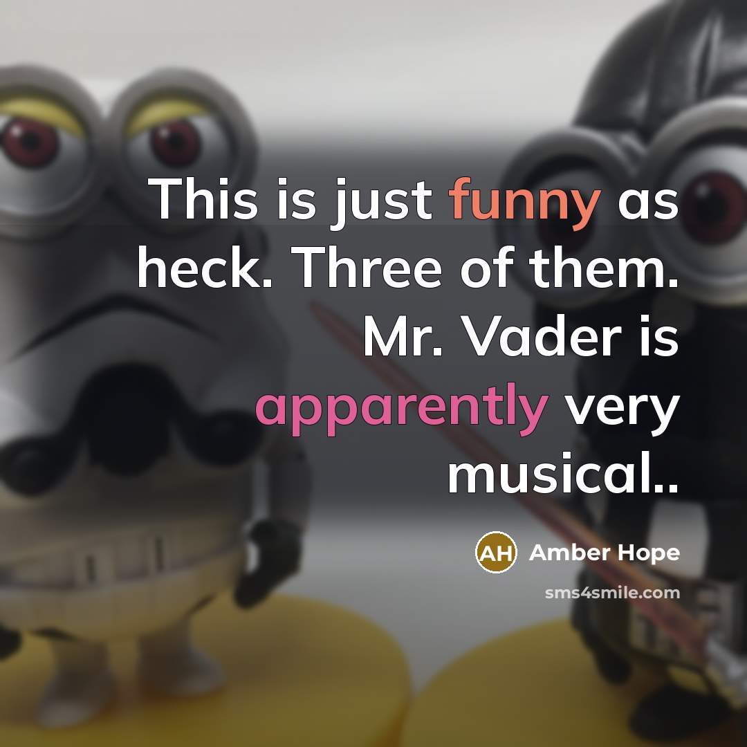 “This is just funny as heck. Three of them. Mr. Vader is apparently very musical..” quote by Amber Hope