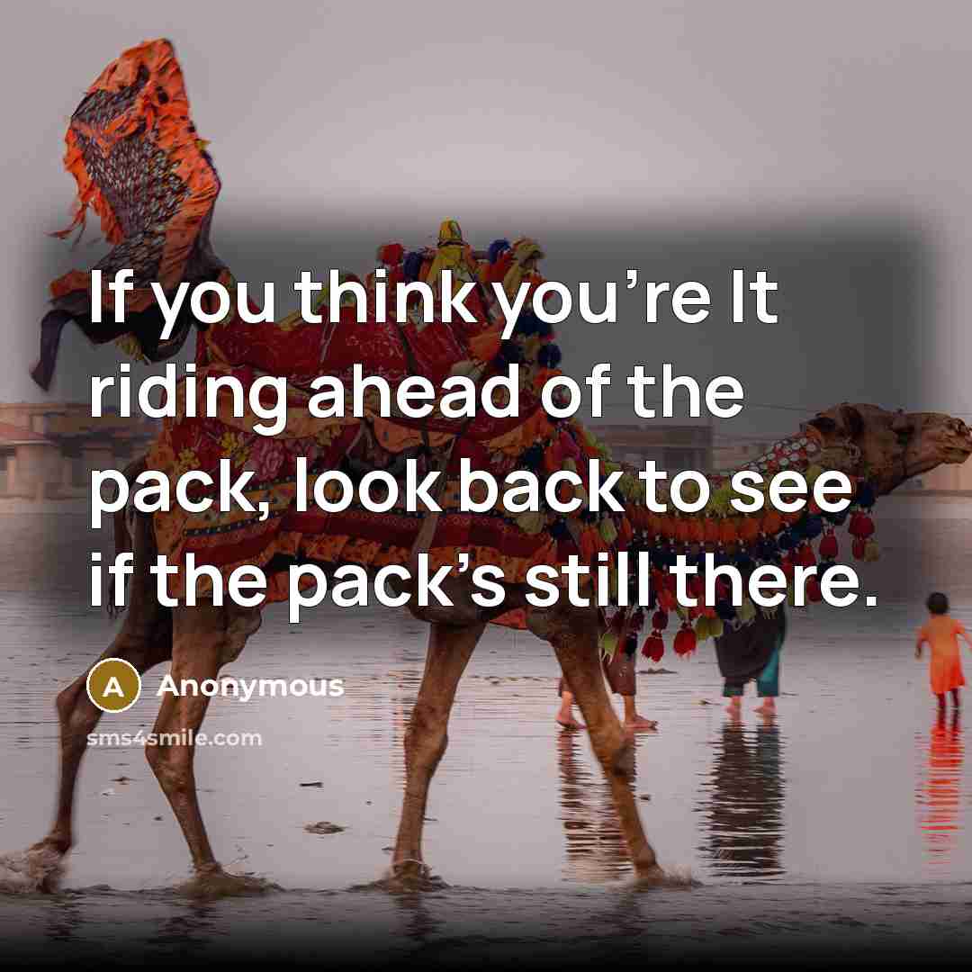 “If you think you're It riding ahead of the pack, look back to see if the pack's still there.” quote by Anonymous