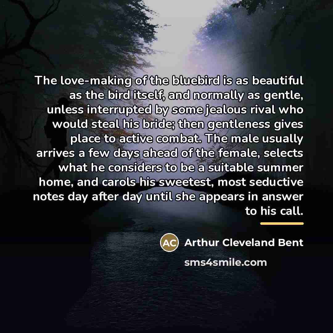 “The love-making of the bluebird is as beautiful as the…” quote by Arthur Cleveland Bent