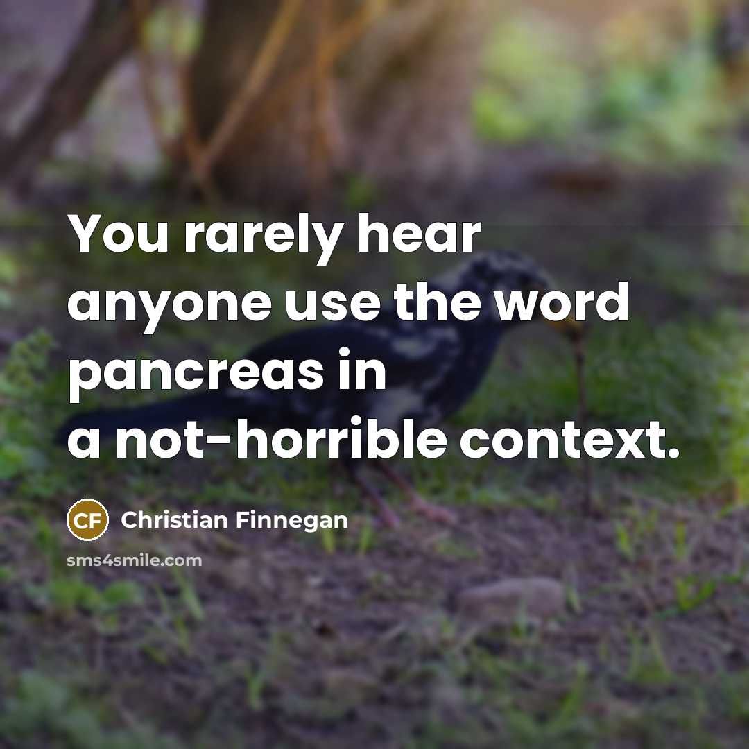 “You rarely hear anyone use the word pancreas in a…” quote by Christian Finnegan