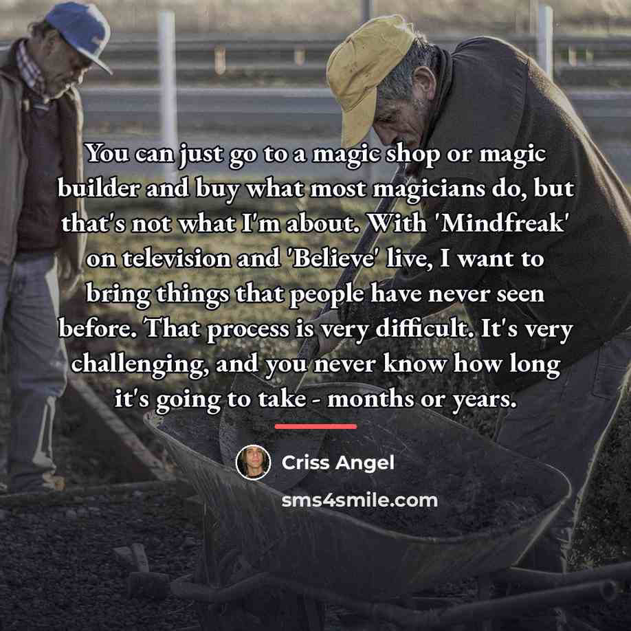 “You can just go to a magic shop or magic…” quote by Criss Angel