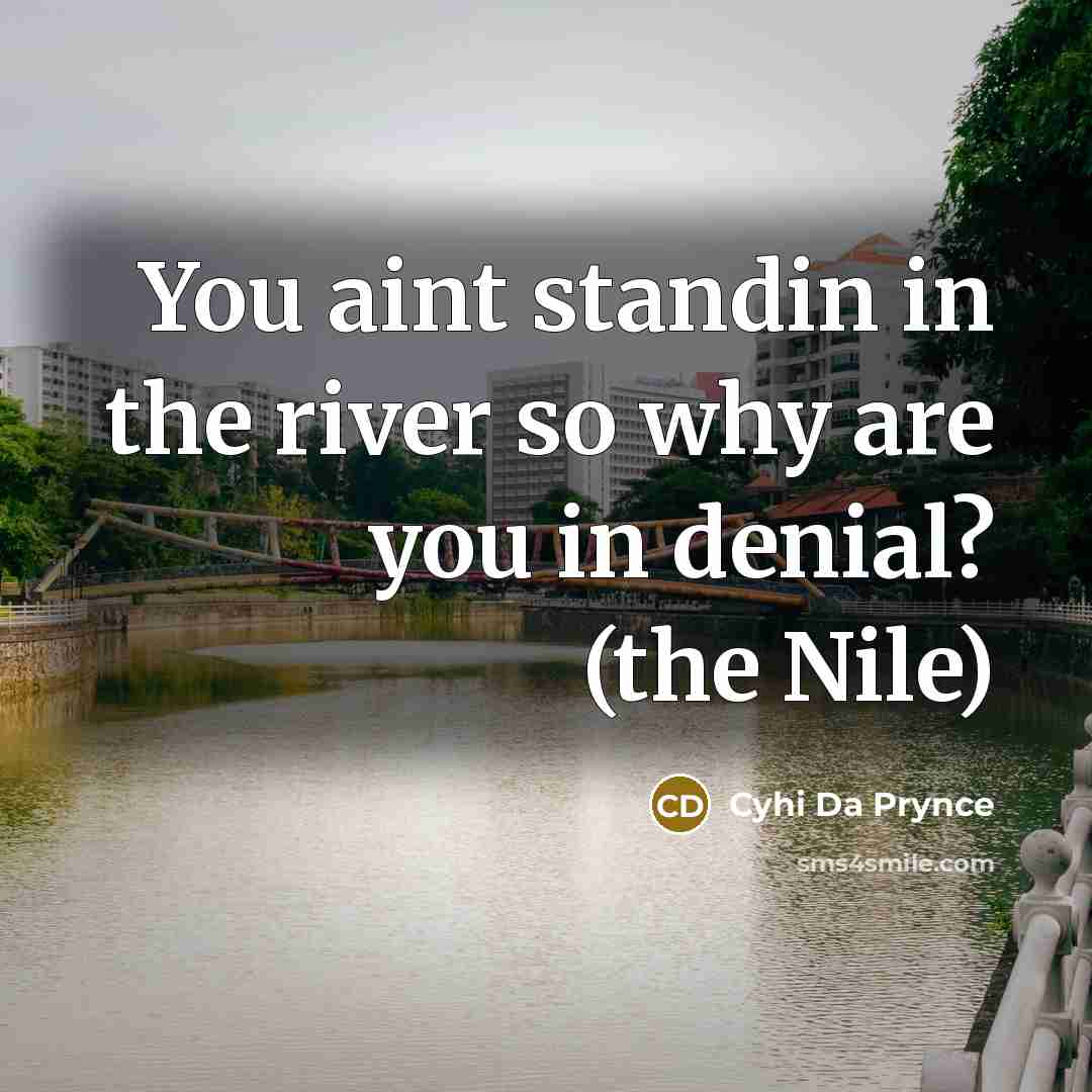 “You aint standin in the river so why are you in denial? (the Nile)” quote by Cyhi Da Prynce