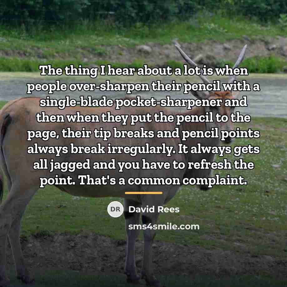 “The thing I hear about a lot is when people…” quote by David Rees