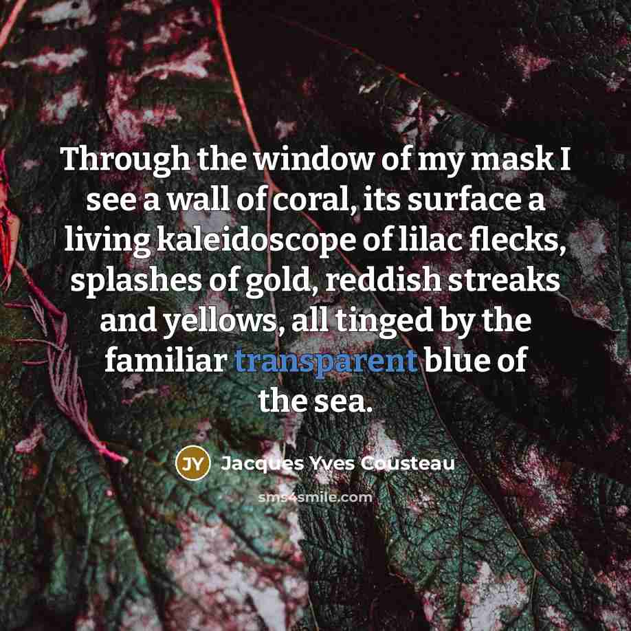 “Through the window of my mask I see a wall…” quote by Jacques Yves Cousteau