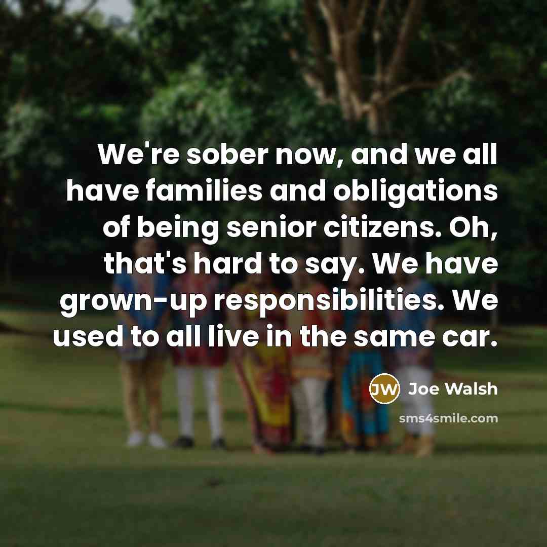 “We're sober now, and we all have families and obligations…” quote by Joe Walsh