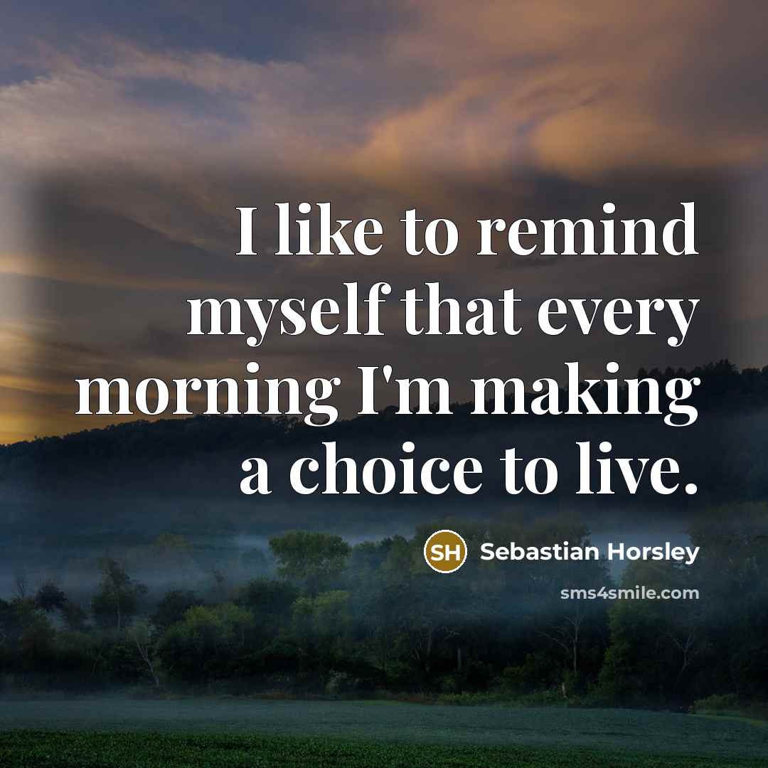 “I like to remind myself that every morning I'm making…” quote by Sebastian Horsley