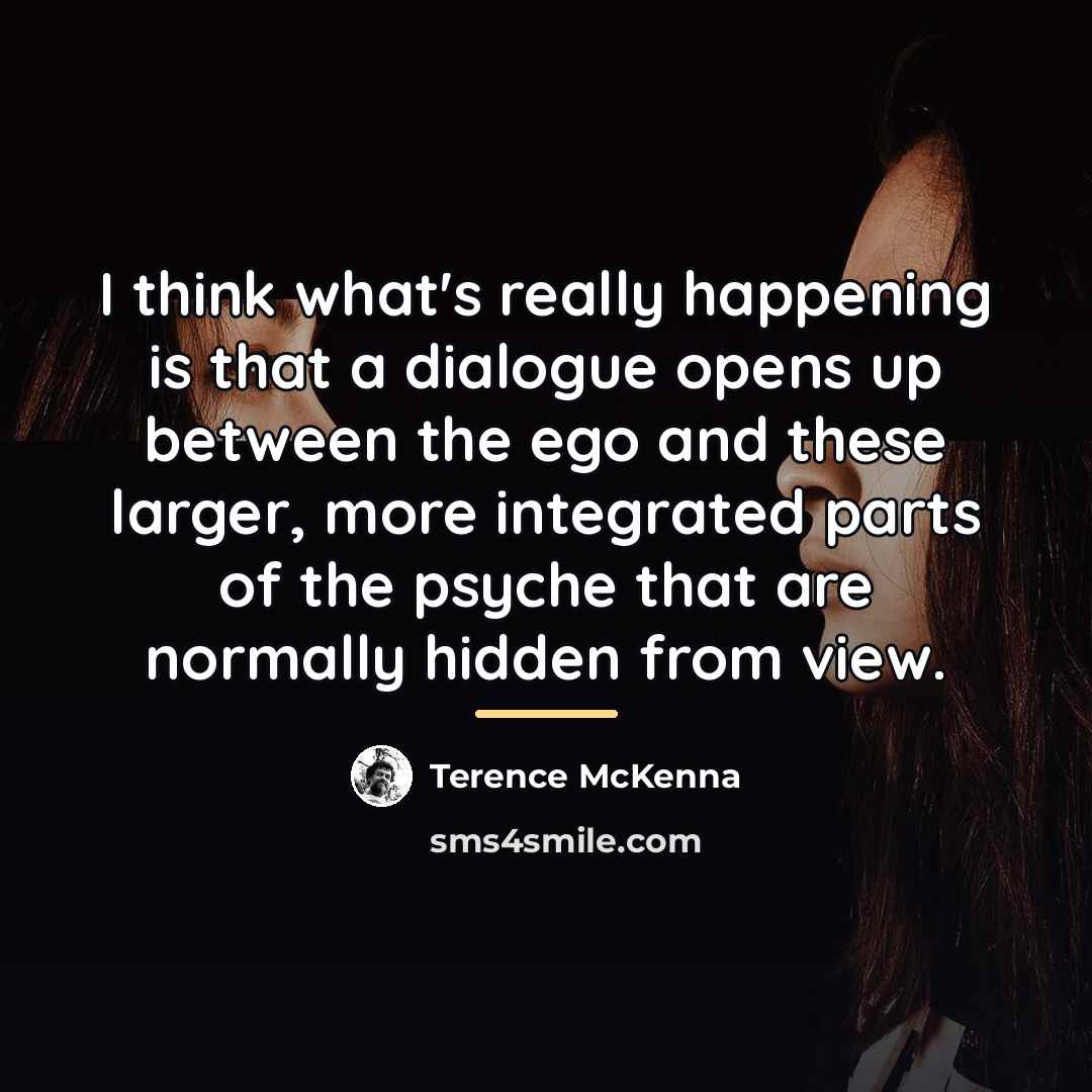 “I think what's really happening is that a dialogue opens…” quote by Terence McKenna