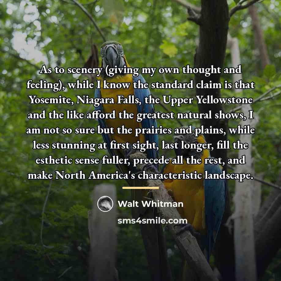 “As to scenery (giving my own thought and feeling), while…” quote by Walt Whitman