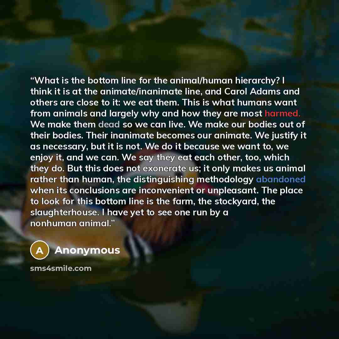 “What is the bottom line for the animal/human hierarchy? I think it is at the animate/inanimate line, and Carol Adams and others are close to it: we eat them. This is what humans want from animals and largely why and how they are most harmed. We make them dead so we can live. We make our bodies out…” quote by Anonymous