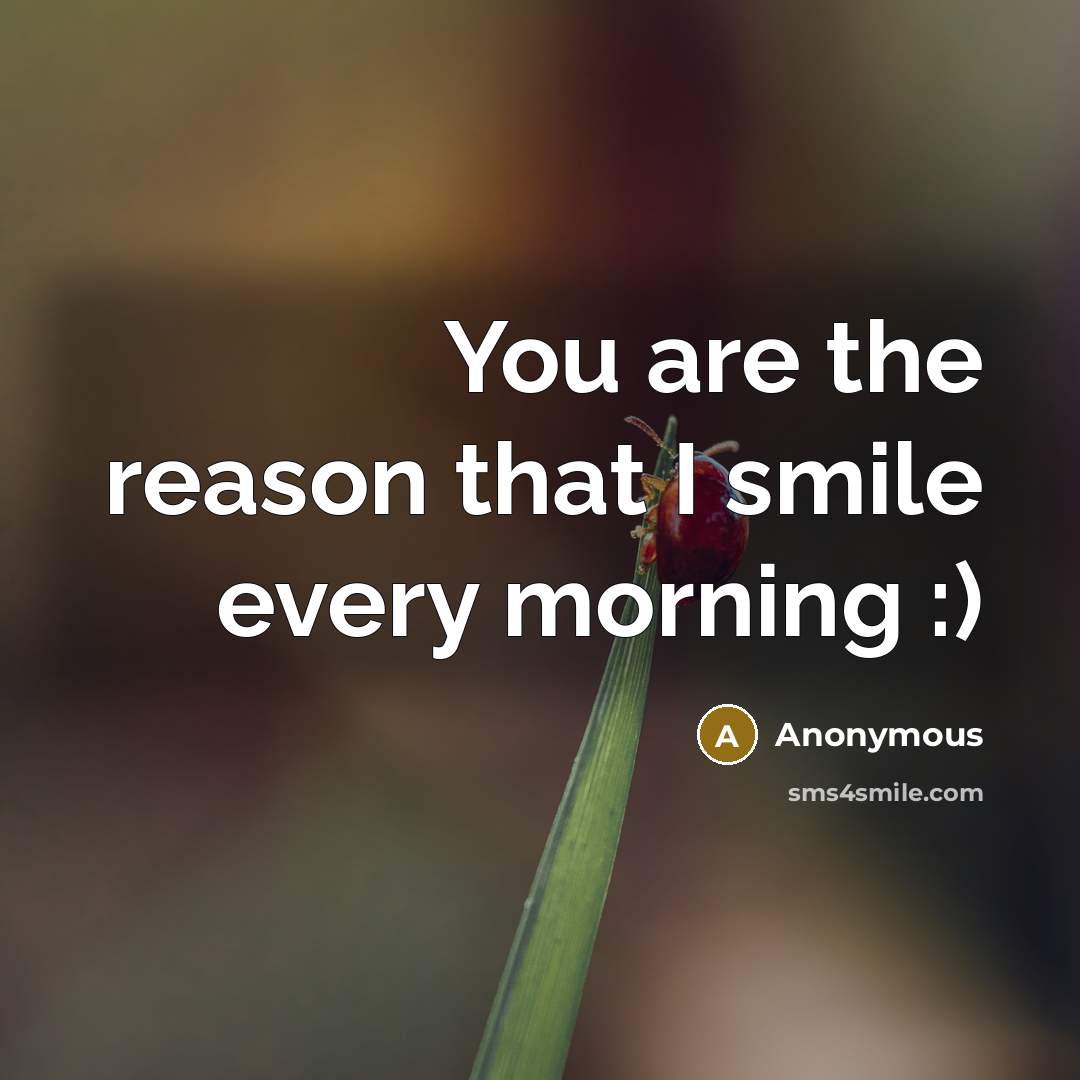 “You are the reason that I smile every morning :)…” quote by Anonymous