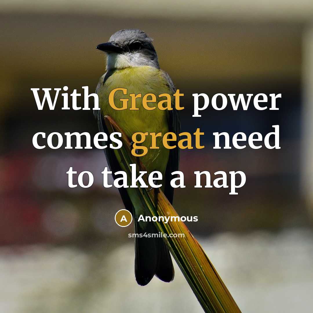 “With Great power comes great need to take a nap…” quote by Anonymous