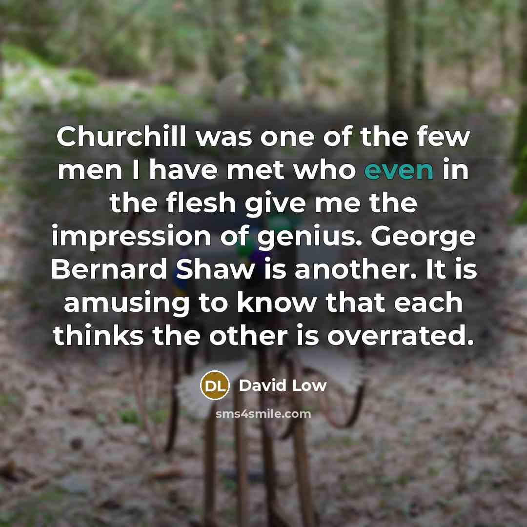 “Churchill was one of the few men I have met…” quote by David Low