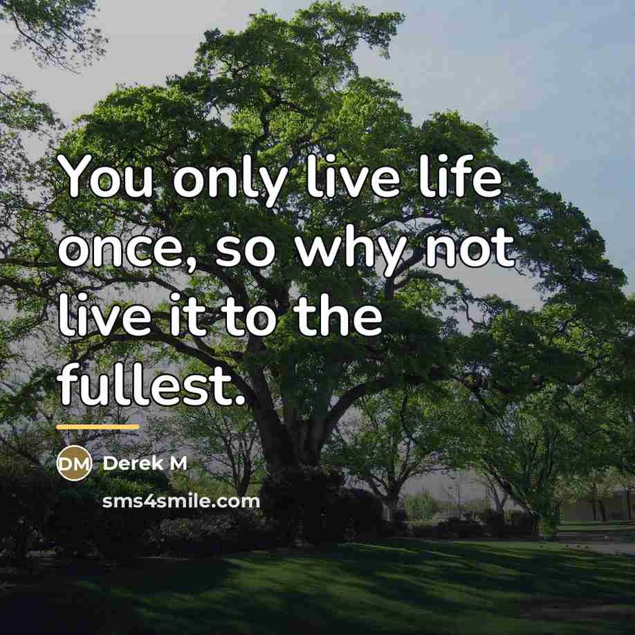“You only live life once, so why not live it…” quote by Derek M