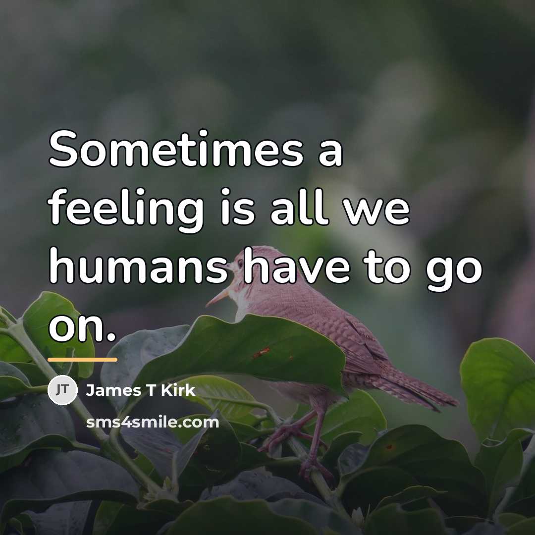 “Sometimes a feeling is all we humans have to go…” quote by James T Kirk