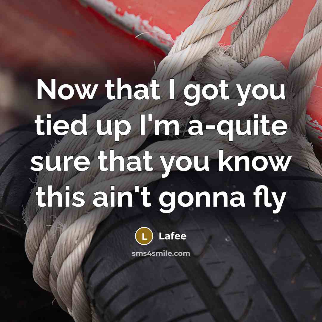 “Now that I got you tied up I'm a-quite sure…” quote by Lafee