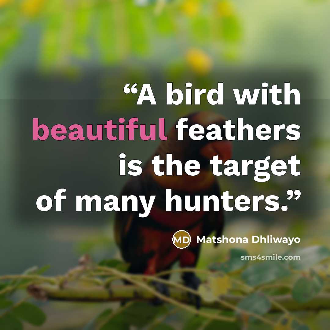 “A bird with beautiful feathers is the target of many hunters.” quote by Matshona Dhliwayo