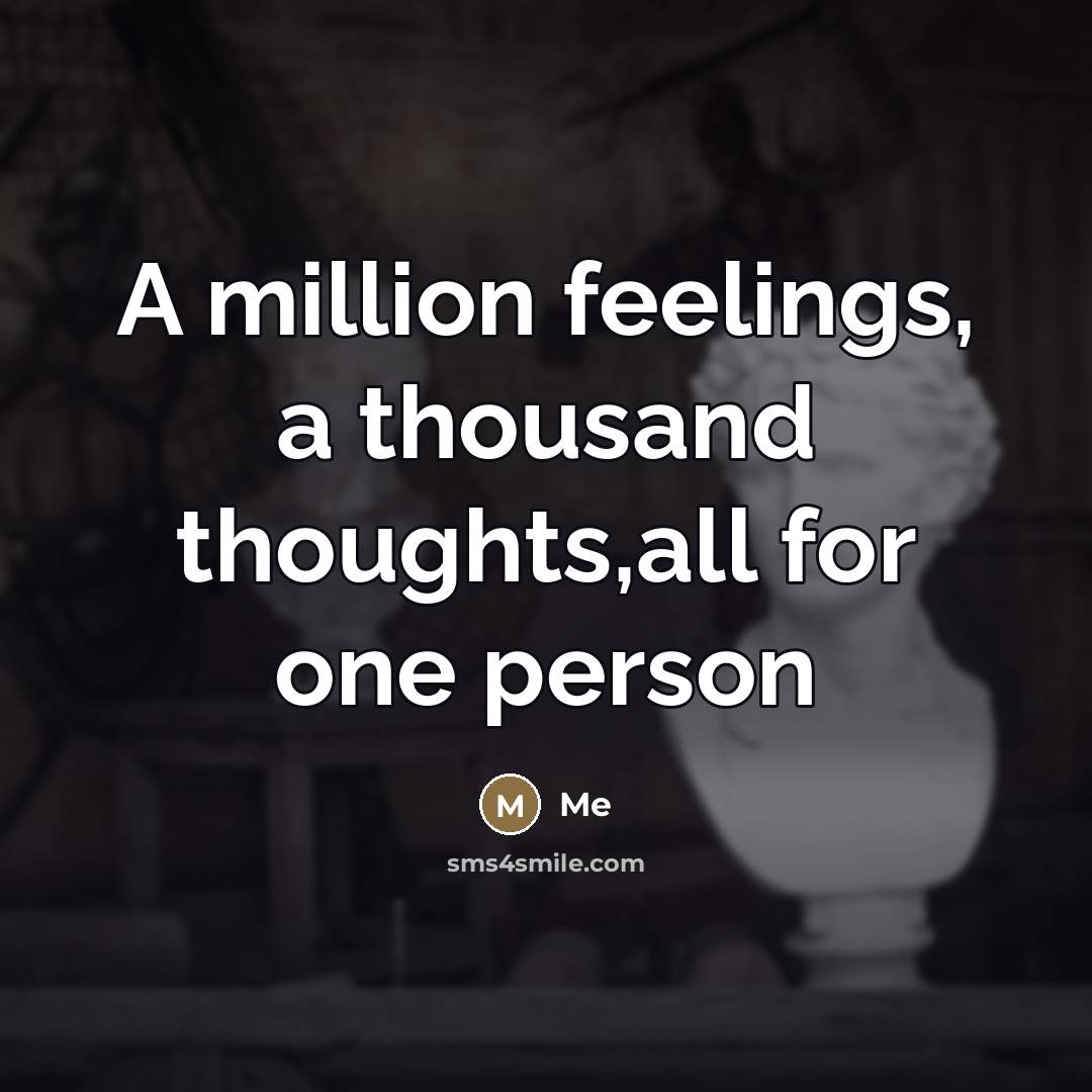 “A million feelings, a thousand thoughts,all for one person…” quote by Me