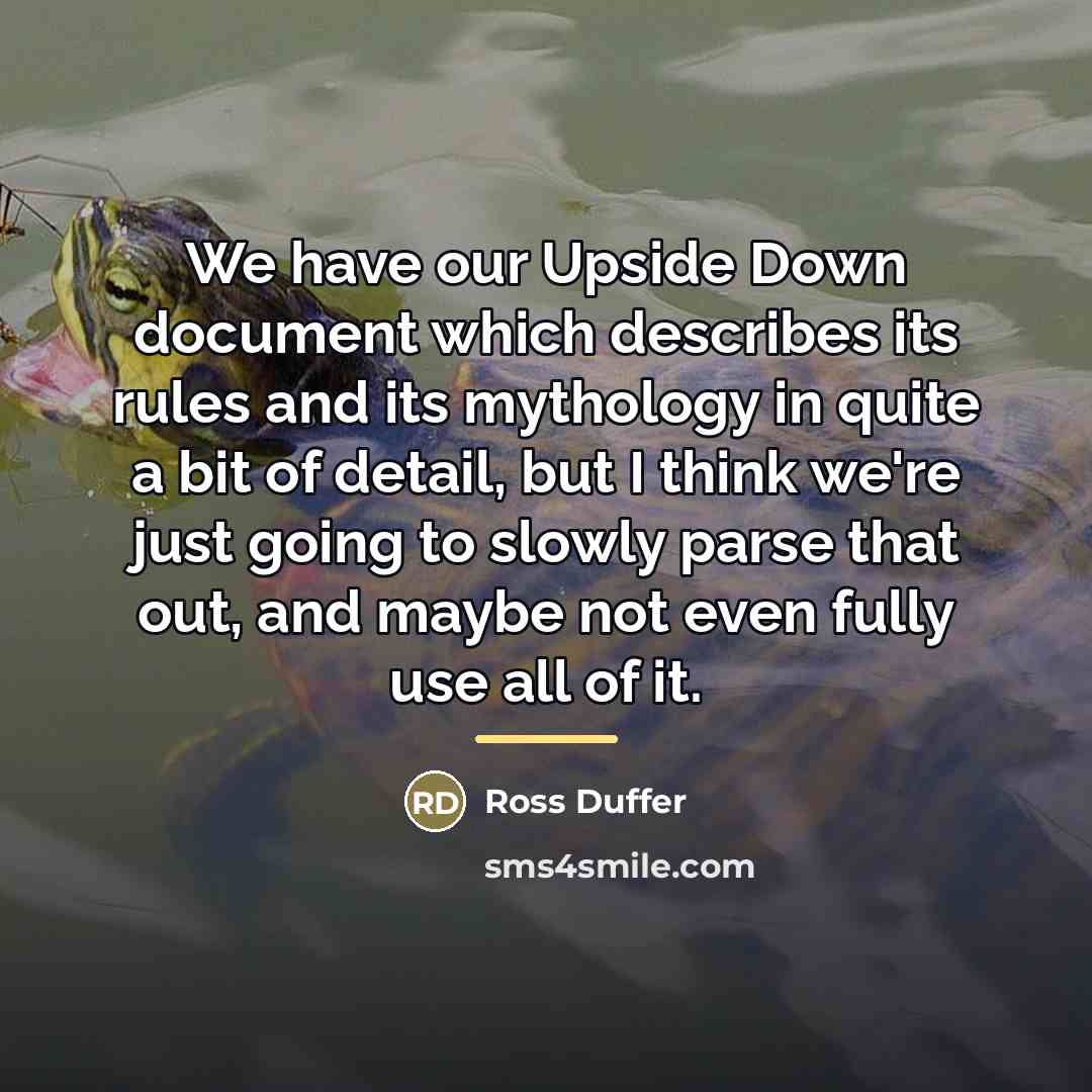 “We have our Upside Down document which describes its rules…” quote by Ross Duffer