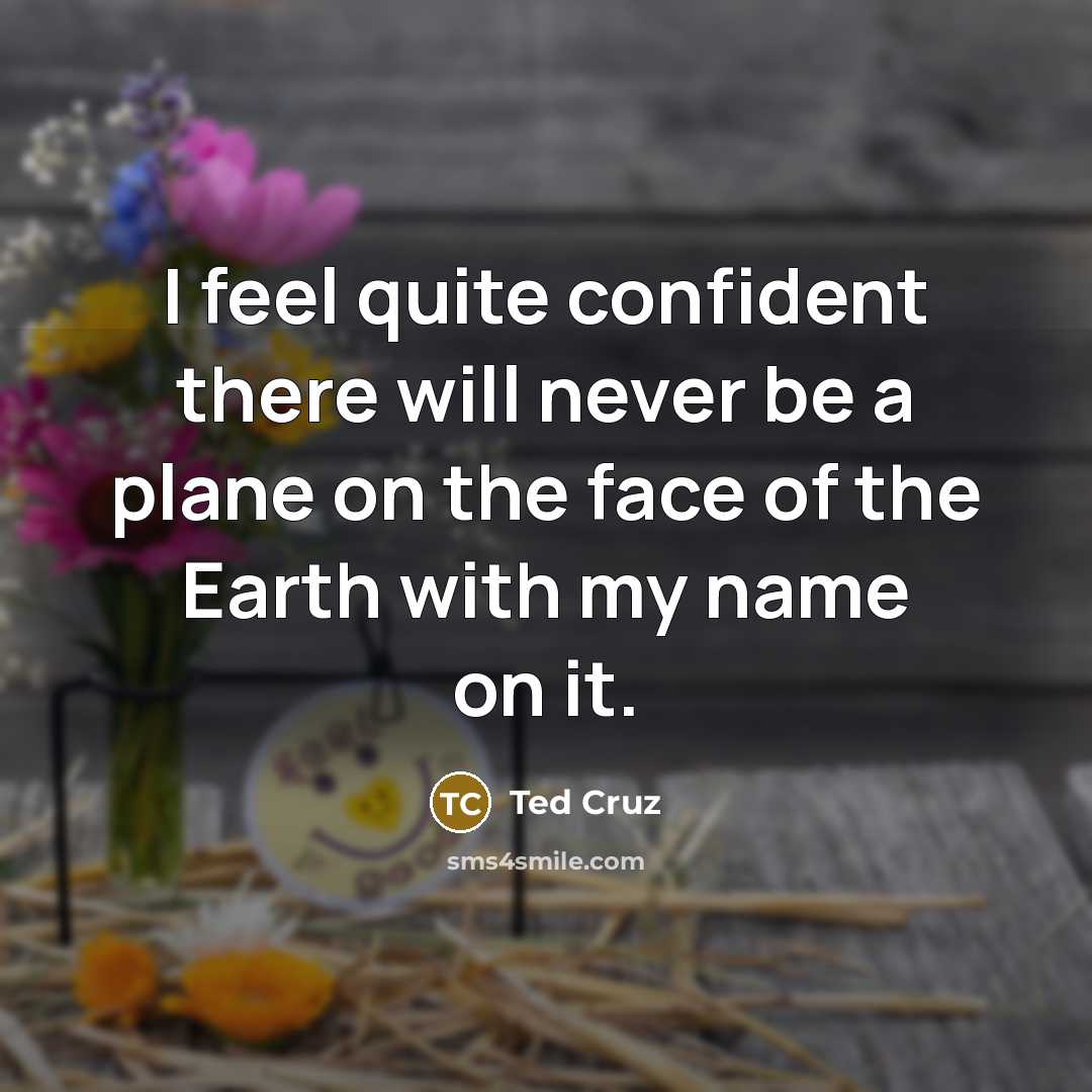 “I feel quite confident there will never be a plane…” quote by Ted Cruz