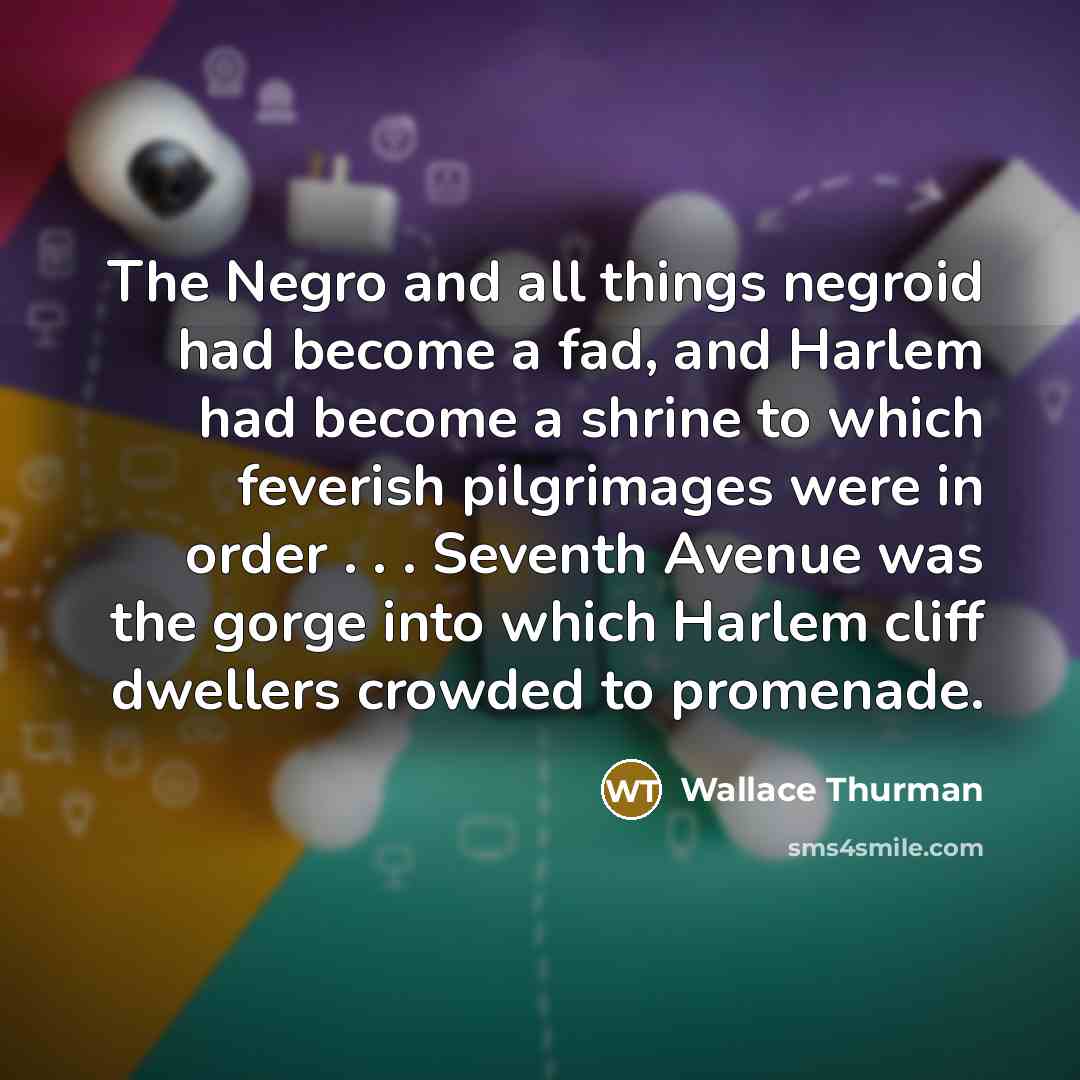 “The Negro and all things negroid had become a fad,…” quote by Wallace Thurman