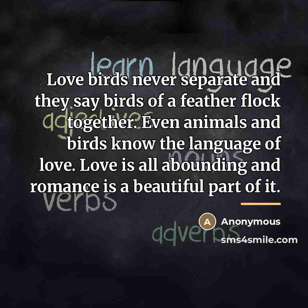 “Love birds never separate and they say birds of a…” quote by Anonymous