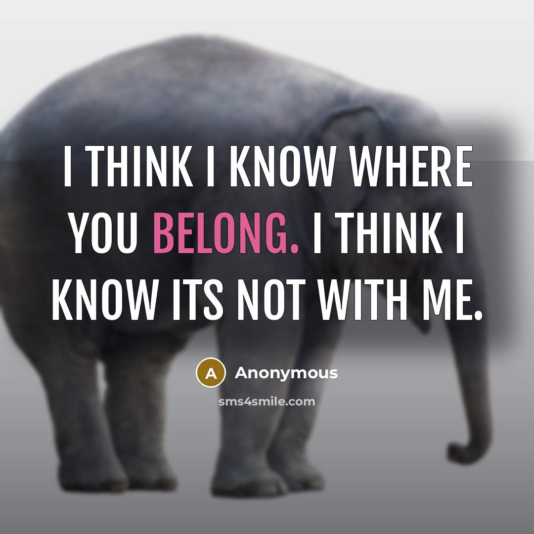 “I think I know where you belong. I think I know its not with me.” quote by Anonymous