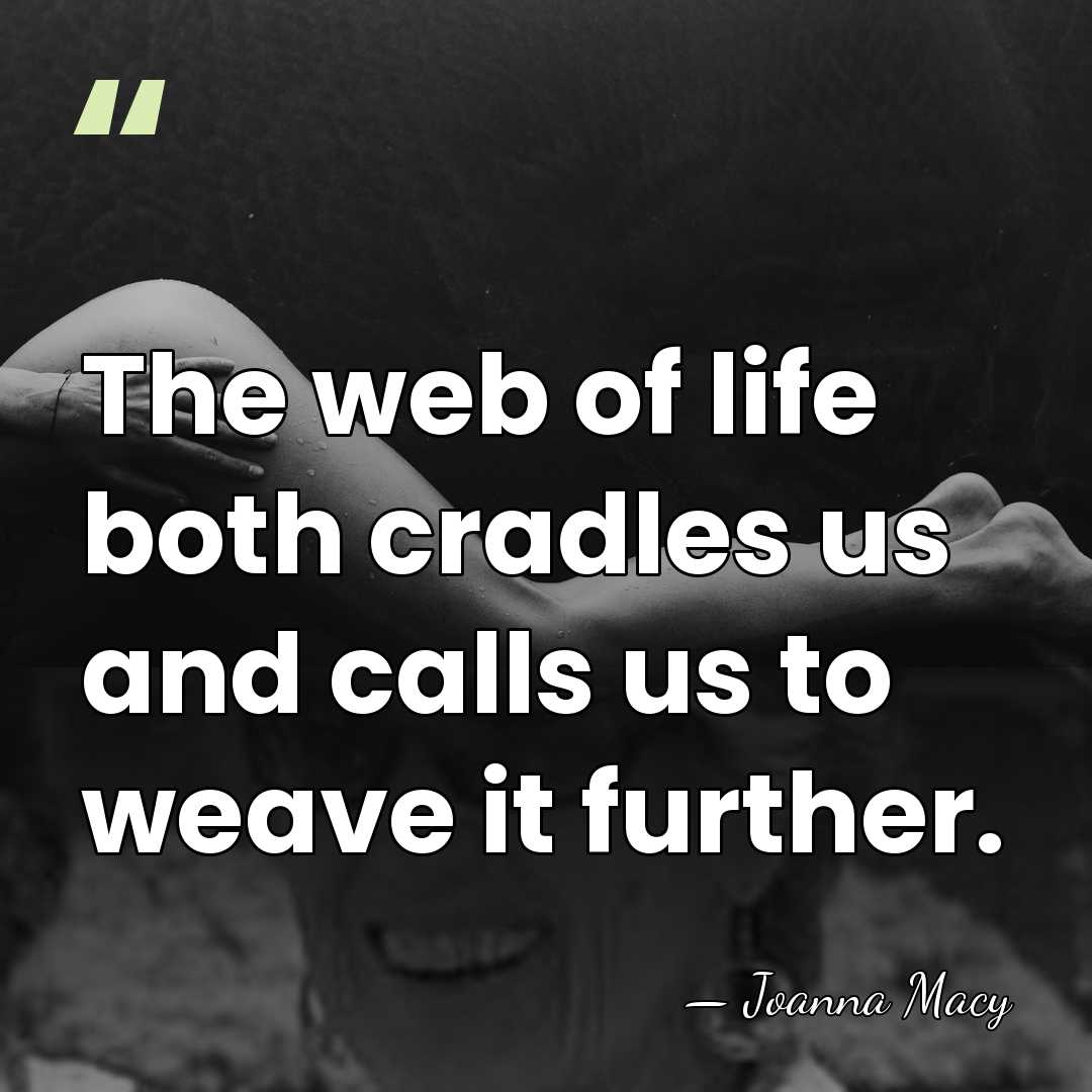 The web of life both cradles us and calls us to weave&hellip; - Joanna Macy