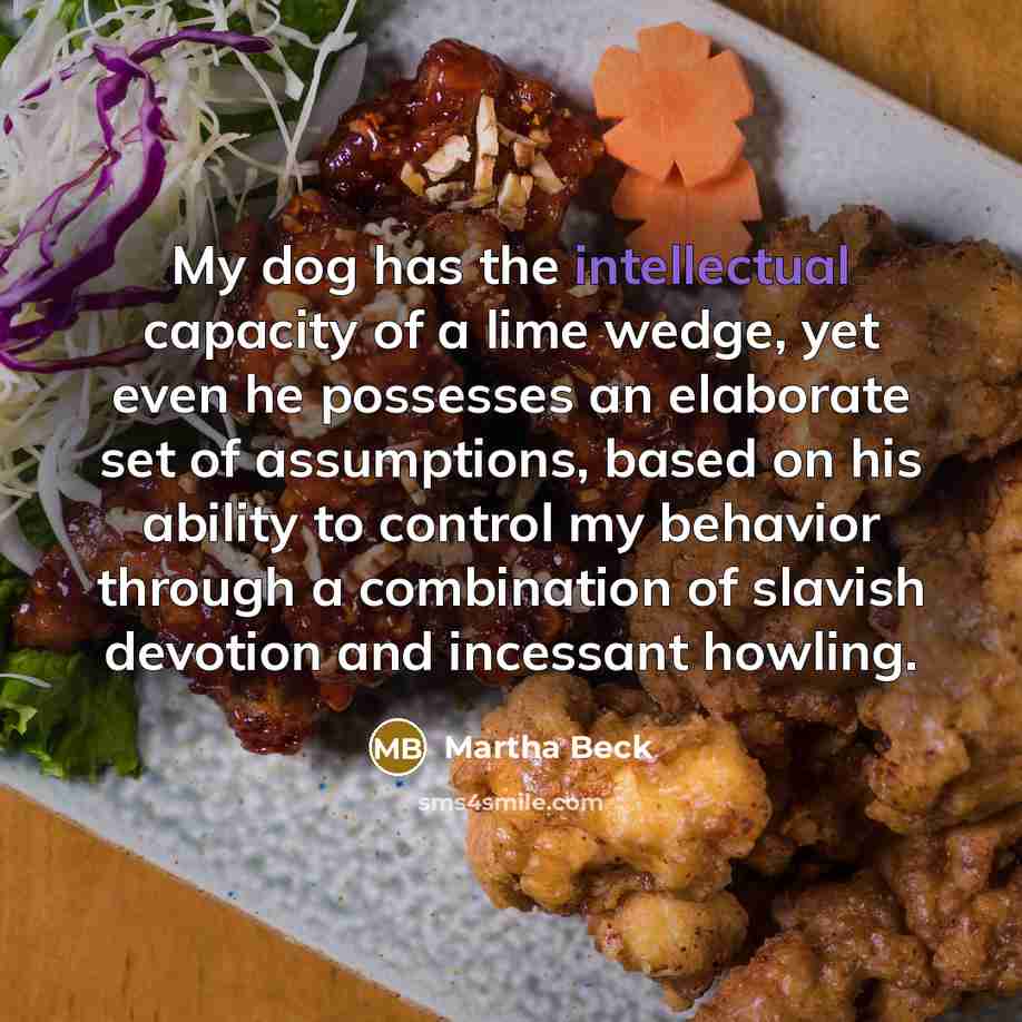 “My dog has the intellectual capacity of a lime wedge,…” quote by Martha Beck