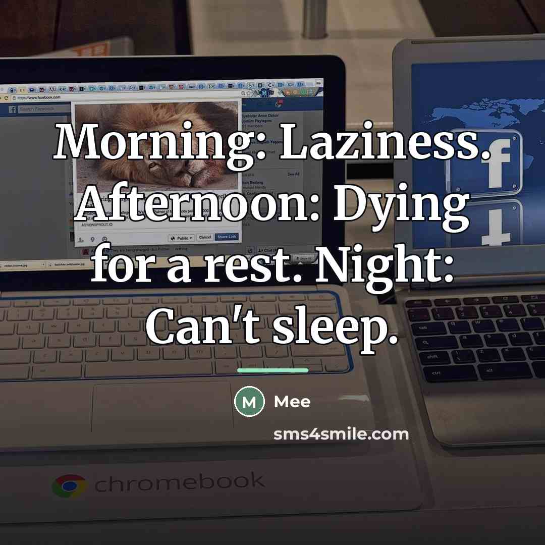 “Morning: Laziness. Afternoon: Dying for a rest. Night: Can't sleep.…” quote by Mee