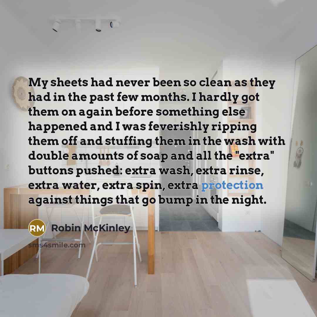 “My sheets had never been so clean as they had…” quote by Robin McKinley