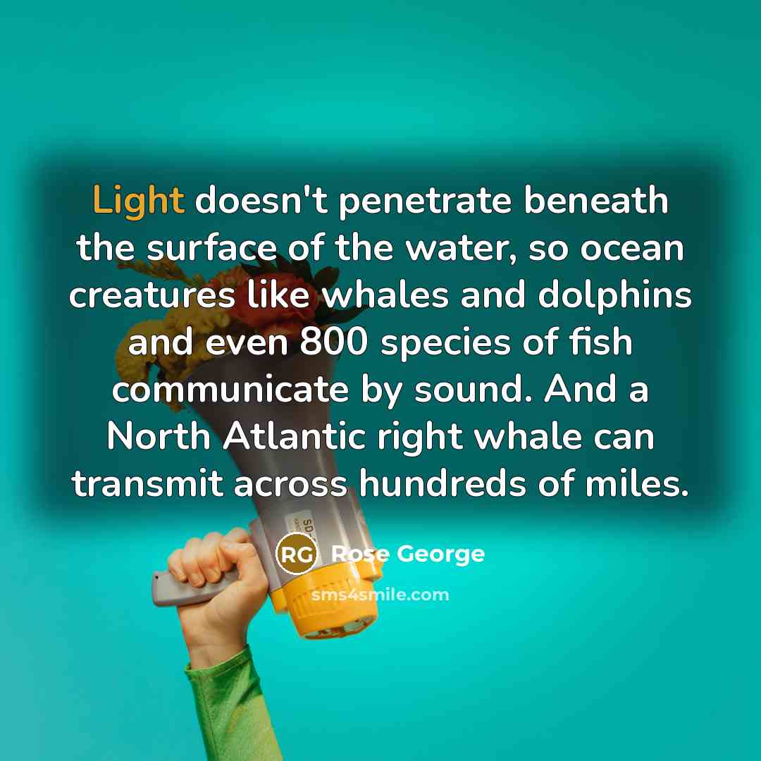 “Light doesn't penetrate beneath the surface of the water, so…” quote by Rose George