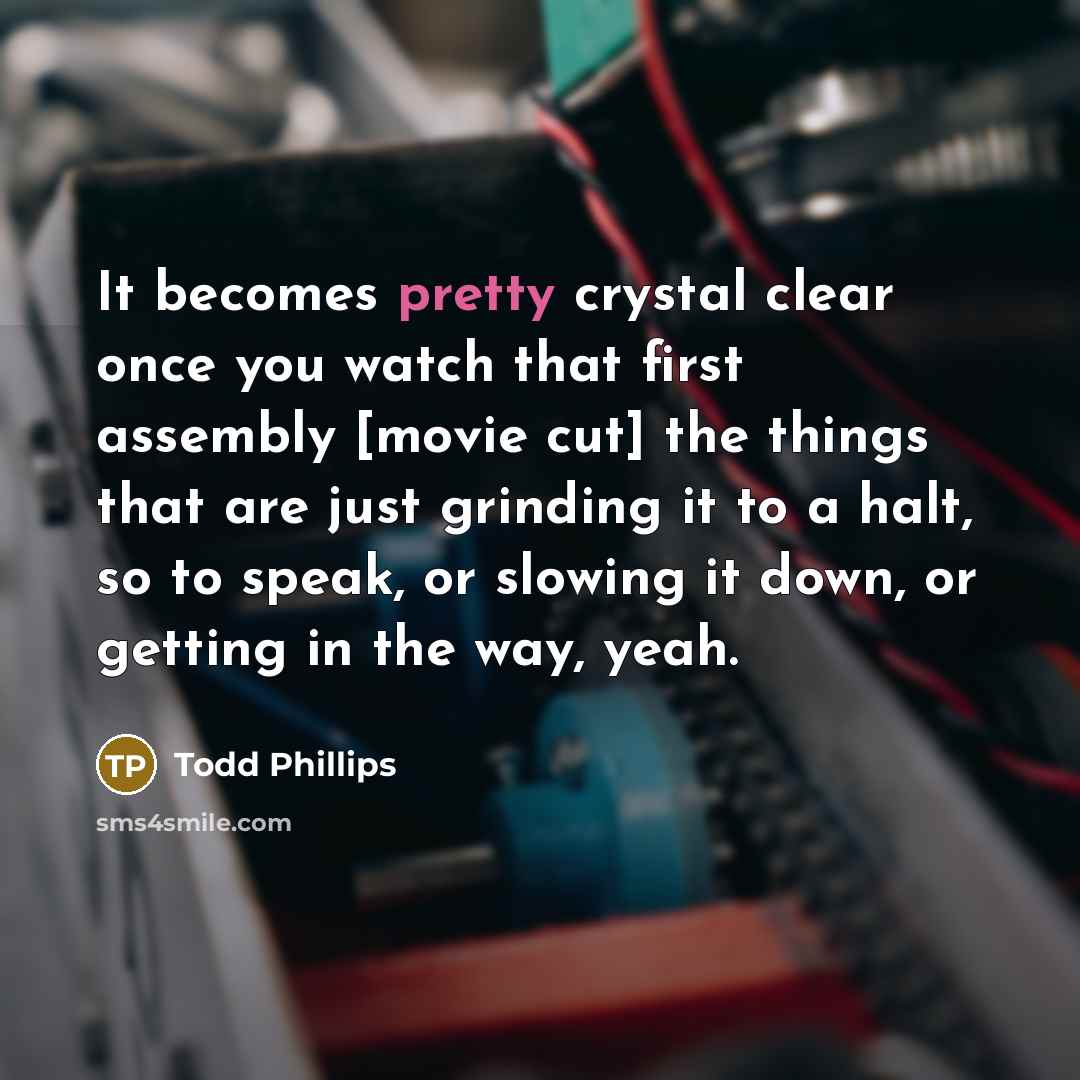 “It becomes pretty crystal clear once you watch that first…” quote by Todd Phillips