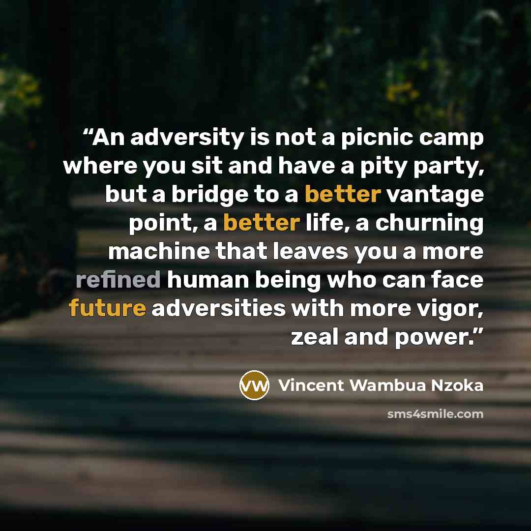 “An adversity is not a picnic camp where you sit and have a pity party, but a bridge to a better vantage point, a better life, a churning machine that leaves you a more refined human being who can face future adversities with more vigor, zeal and power.” quote by Vincent Wambua Nzoka