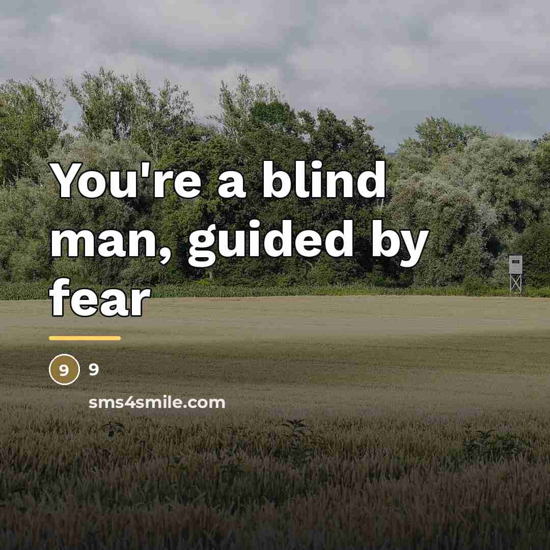 “You're a blind man, guided by fear…” quote by Anonymous