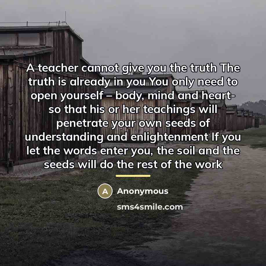 “A teacher cannot give you the truth The truth is…” quote by Anonymous