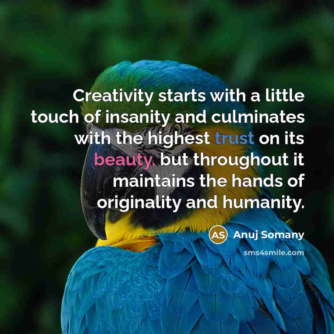 “Creativity starts with a little touch of insanity and culminates…” quote by Anuj Somany