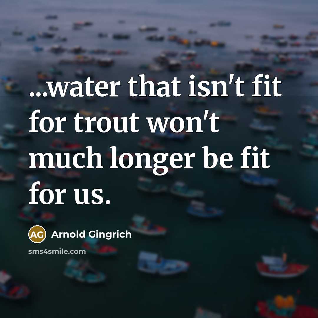 “...water that isn't fit for trout won't much longer be…” quote by Arnold Gingrich