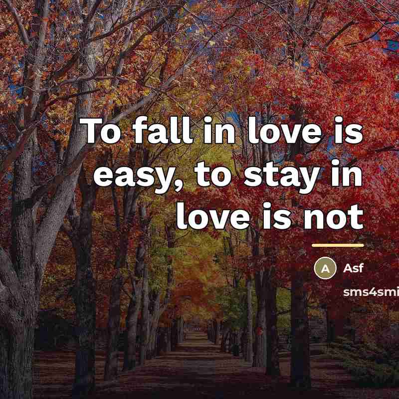 “To fall in love is easy, to stay in love…” quote by Anonymous