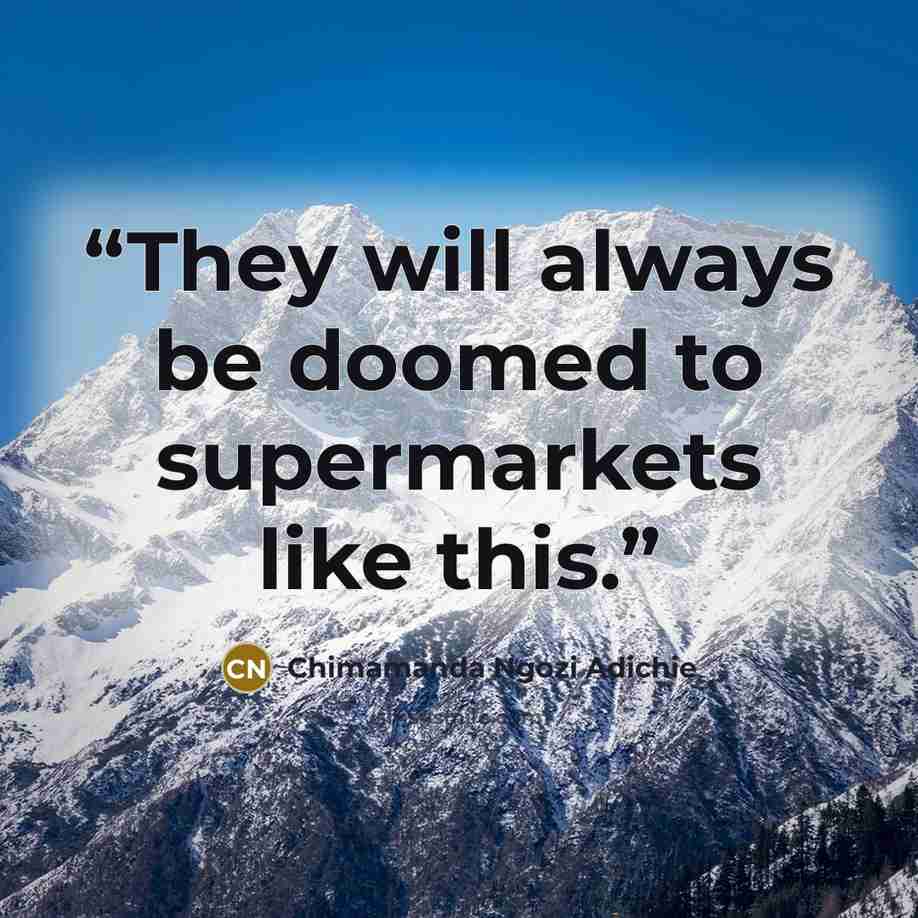 “They will always be doomed to supermarkets like this.” quote by Chimamanda Ngozi Adichie