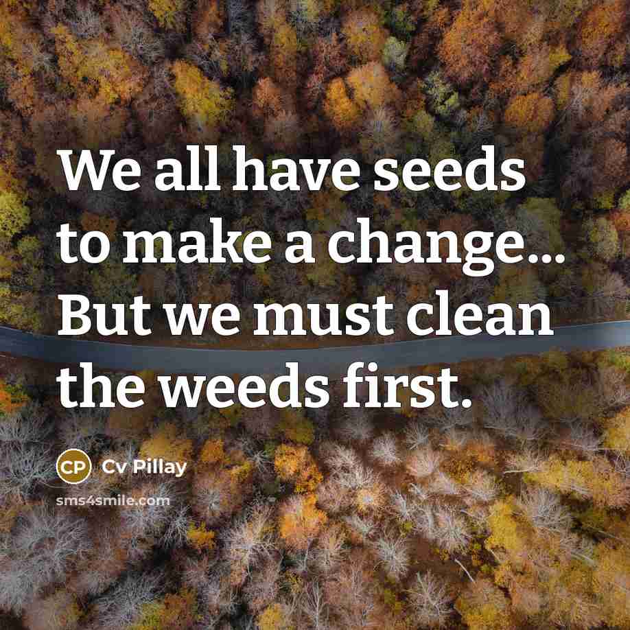 “We all have seeds to make a change... But we…” quote by Cv Pillay