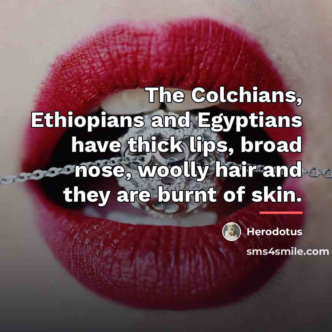 “The Colchians, Ethiopians and Egyptians have thick lips, broad nose,…” quote by Herodotus