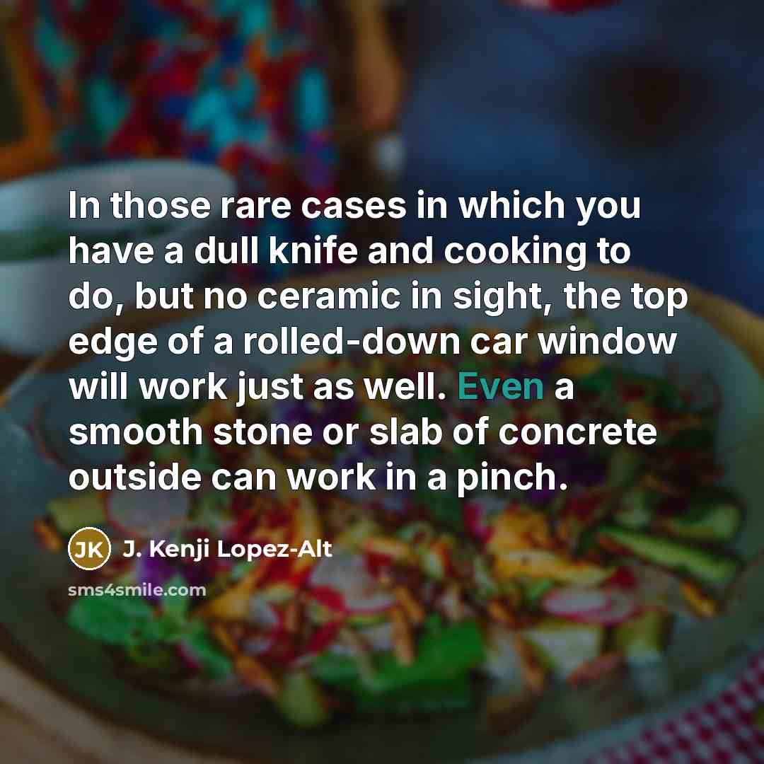 “In those rare cases in which you have a dull…” quote by J. Kenji Lopez-Alt
