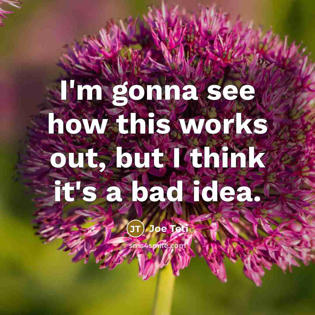 “I'm gonna see how this works out, but I think…” quote by Joe Teti