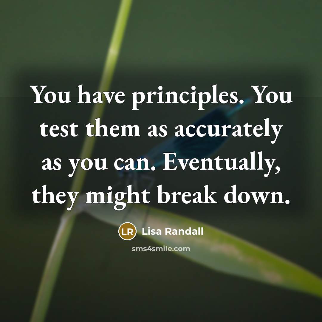 “You have principles. You test them as accurately as you…” quote by Lisa Randall
